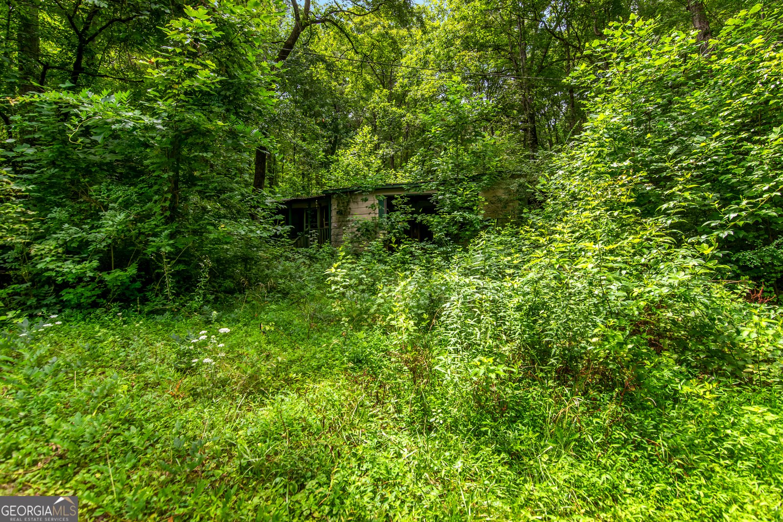 1459 Ray Mountain Road Ellijay - 42