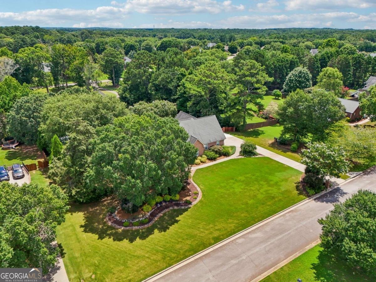 1118 Sutton Drive Mcdonough - 46