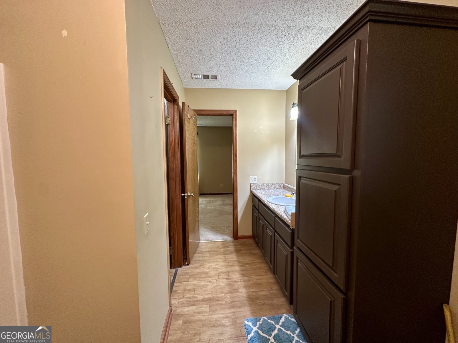 37 Hilltop Drive Lumber City - 11