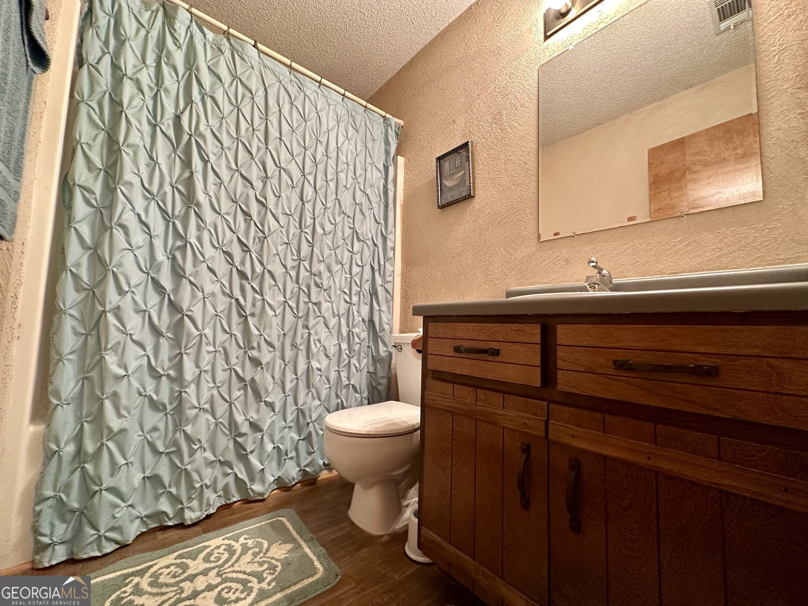 37 Hilltop Drive Lumber City - 14