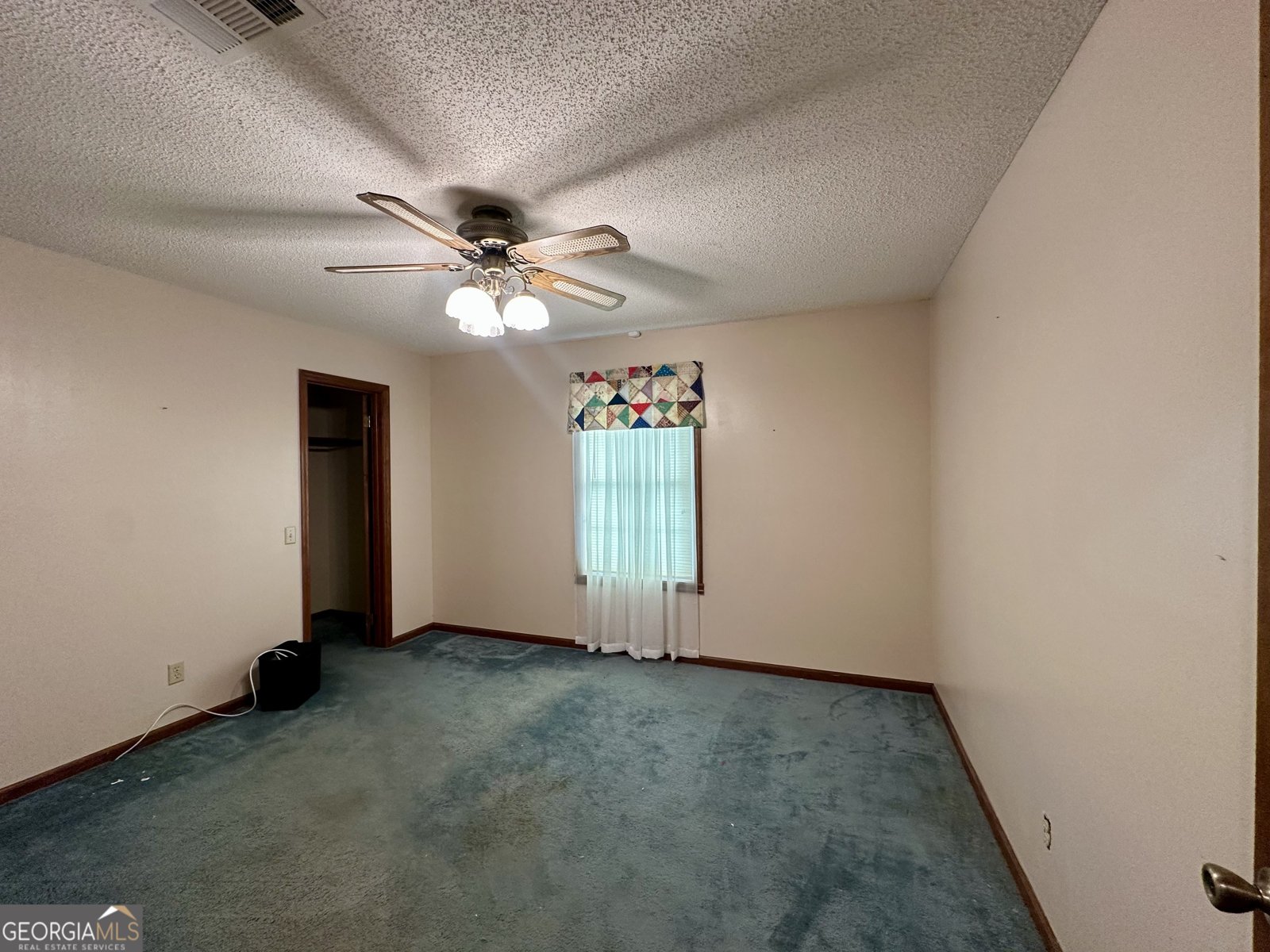 37 Hilltop Drive Lumber City - 3