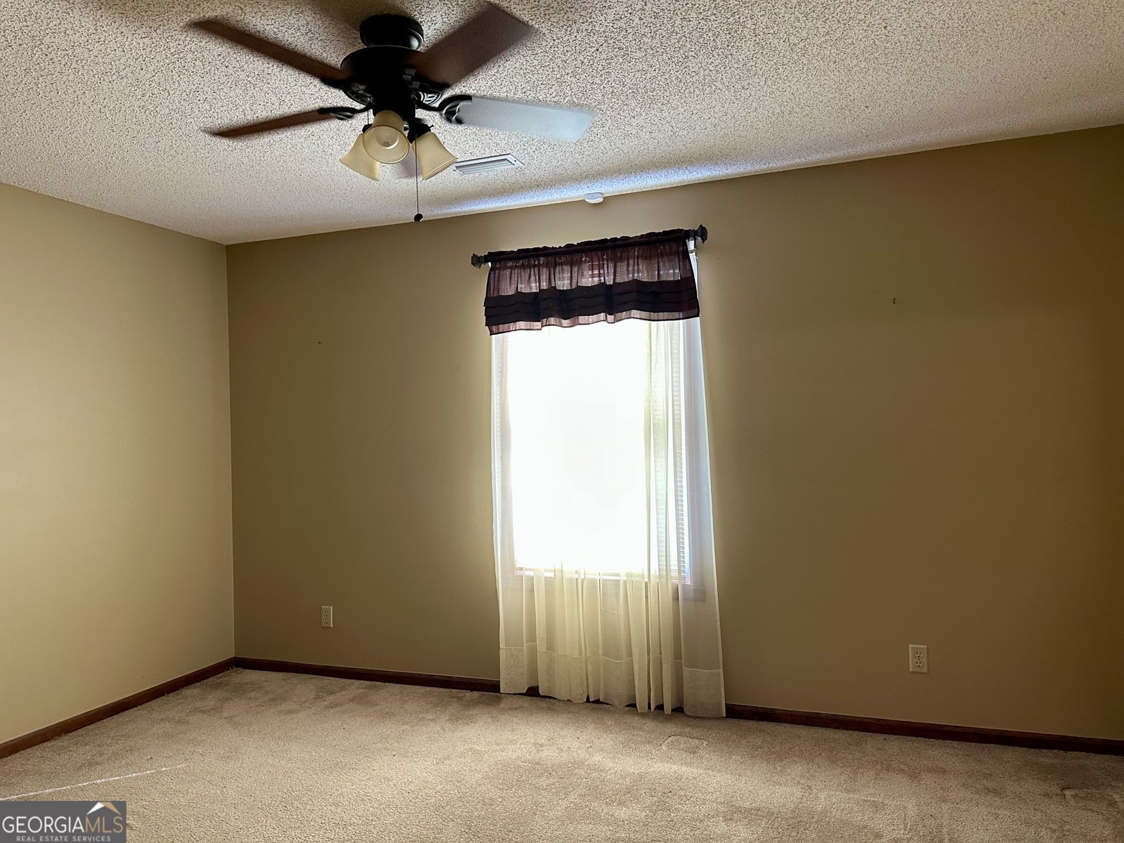 37 Hilltop Drive Lumber City - 8