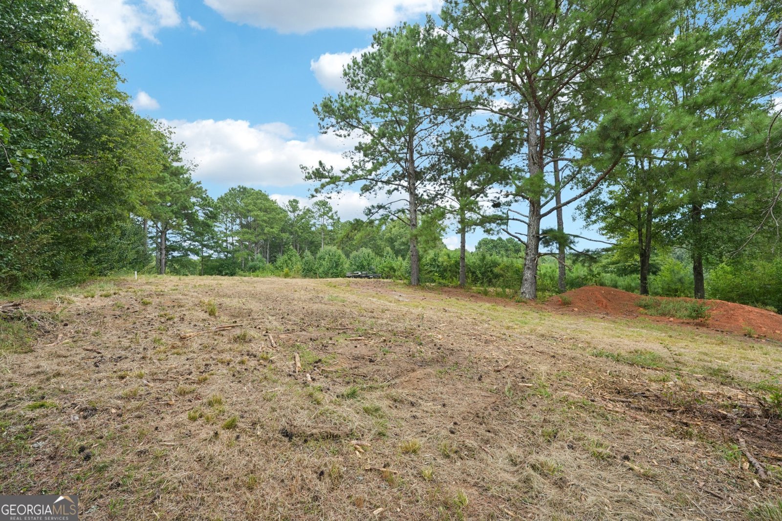 1051 Twin Rivers Road Greensboro - 4
