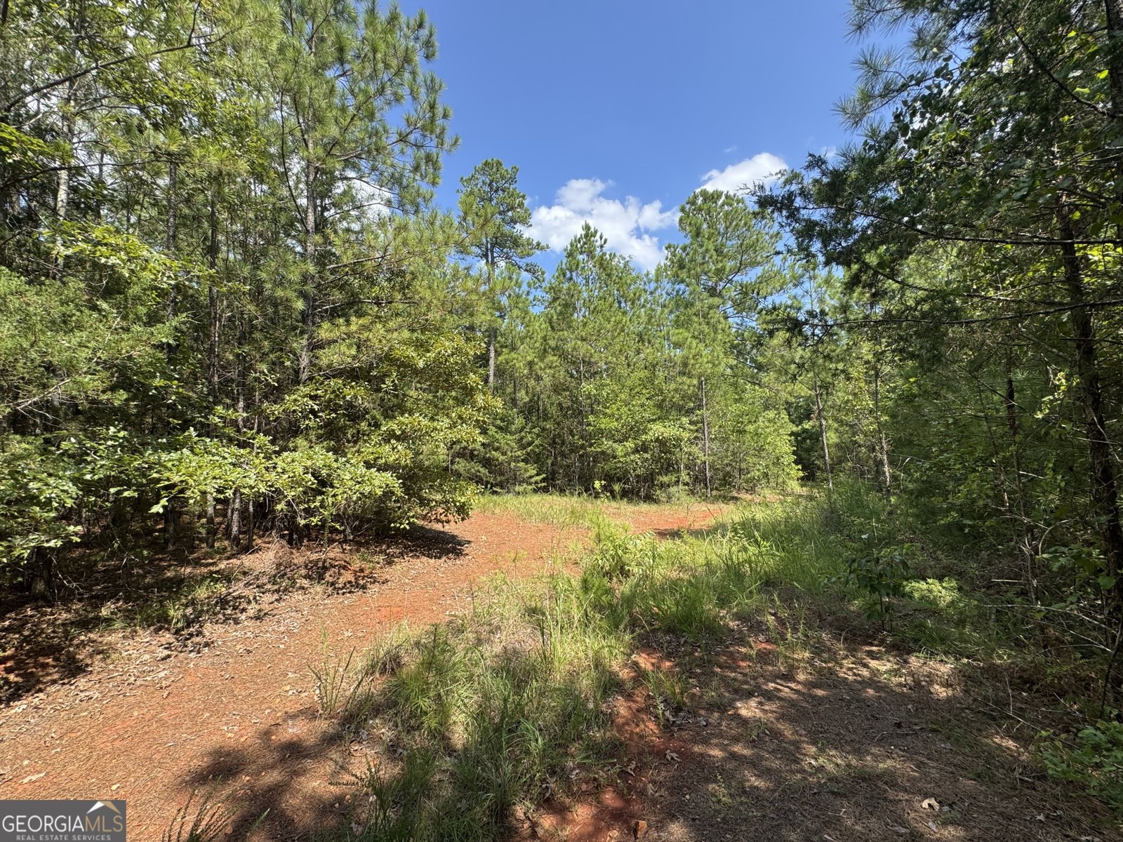 1324 Highway 81 N No Street Suffix Calhoun Falls - 10