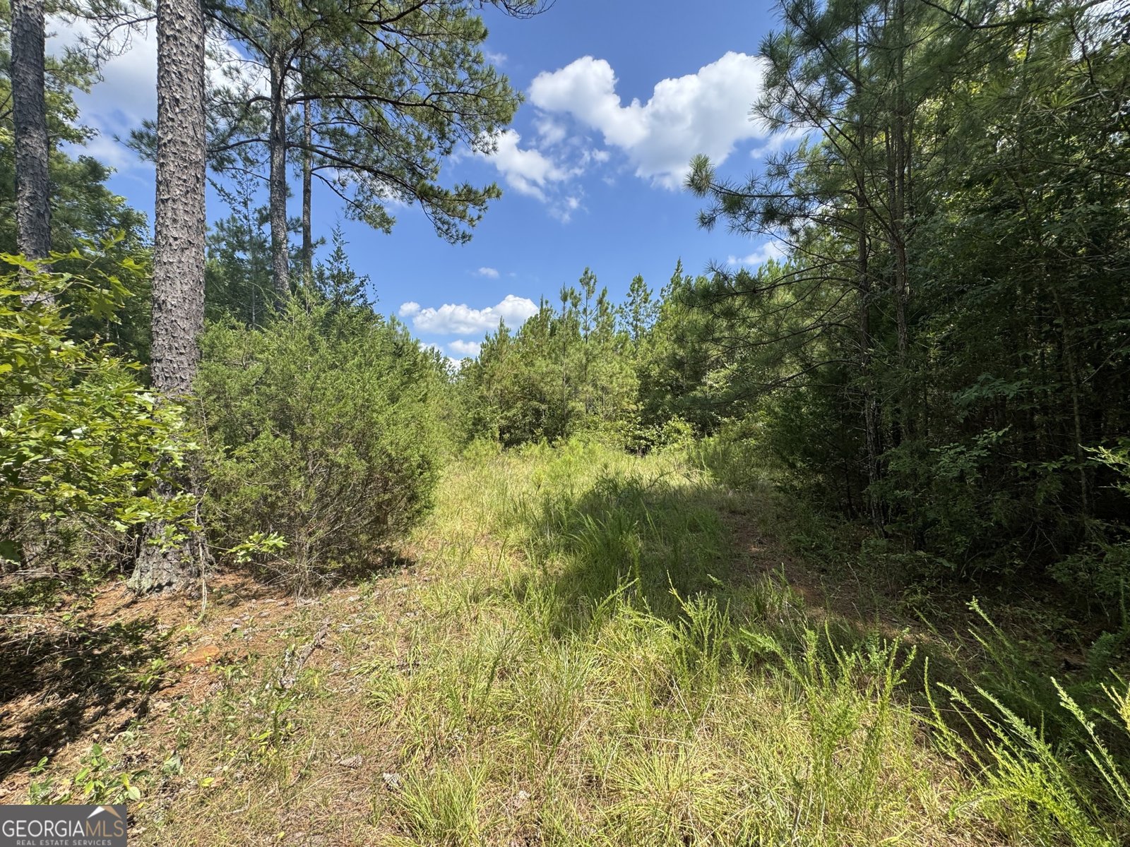 1324 Highway 81 N No Street Suffix Calhoun Falls - 11