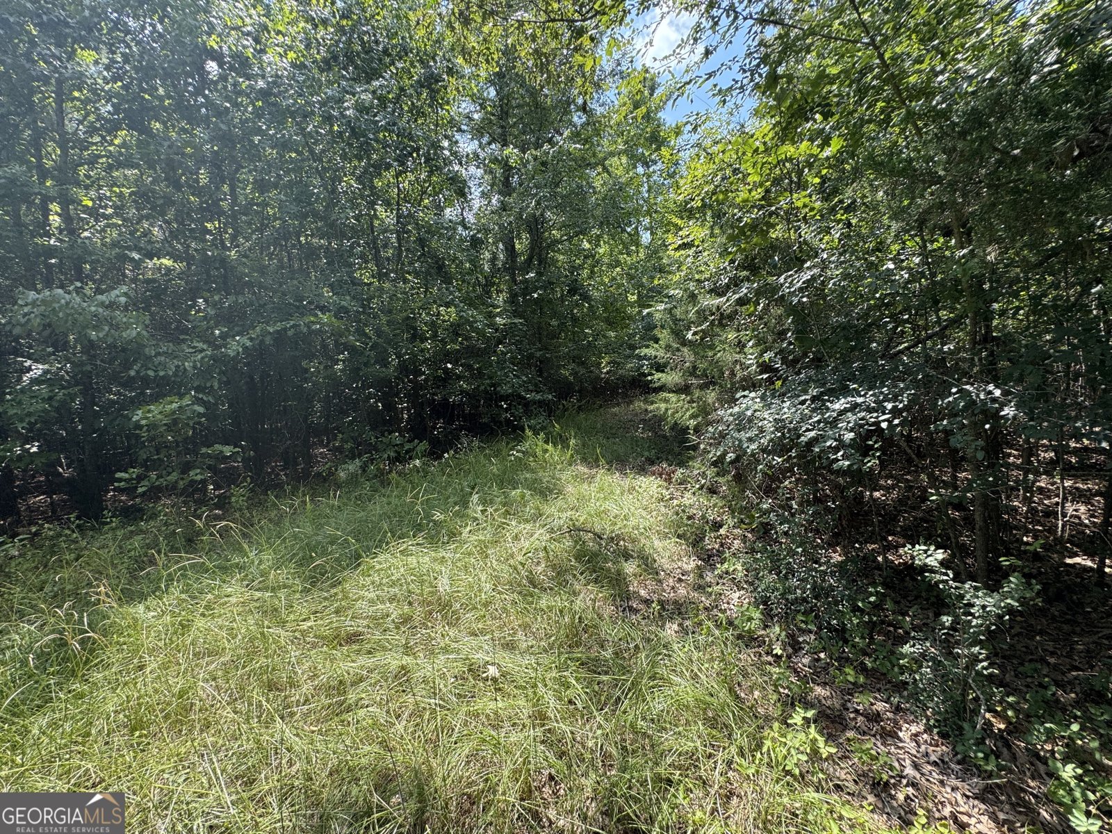 1324 Highway 81 N No Street Suffix Calhoun Falls - 14