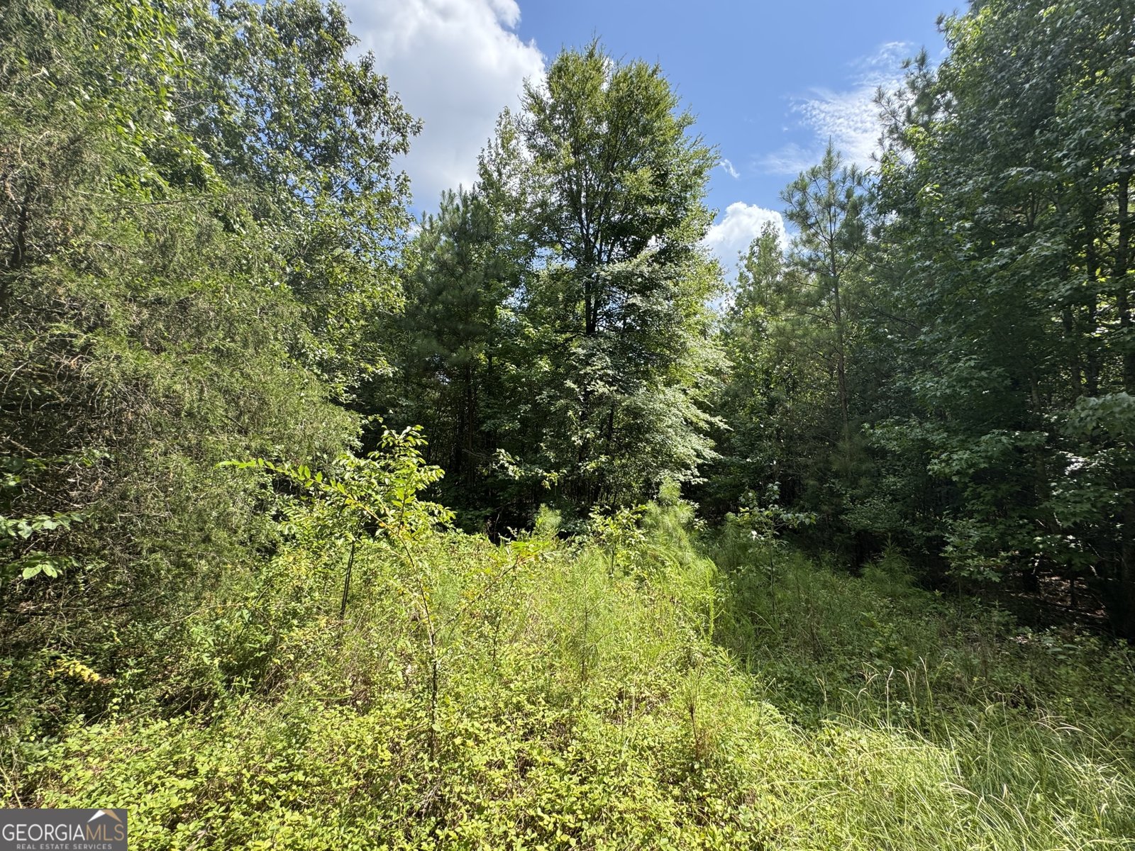 1324 Highway 81 N No Street Suffix Calhoun Falls - 15