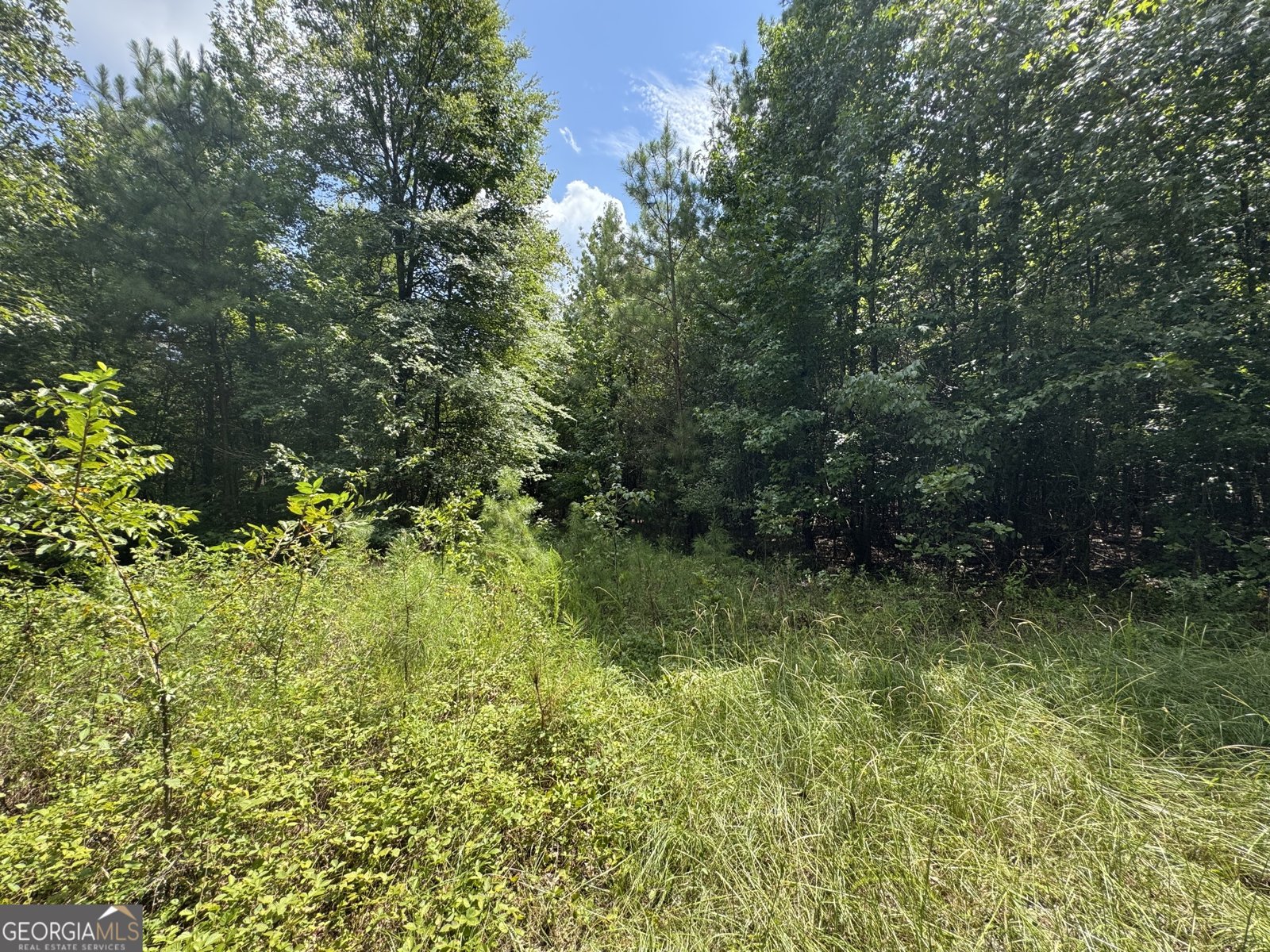 1324 Highway 81 N No Street Suffix Calhoun Falls - 16