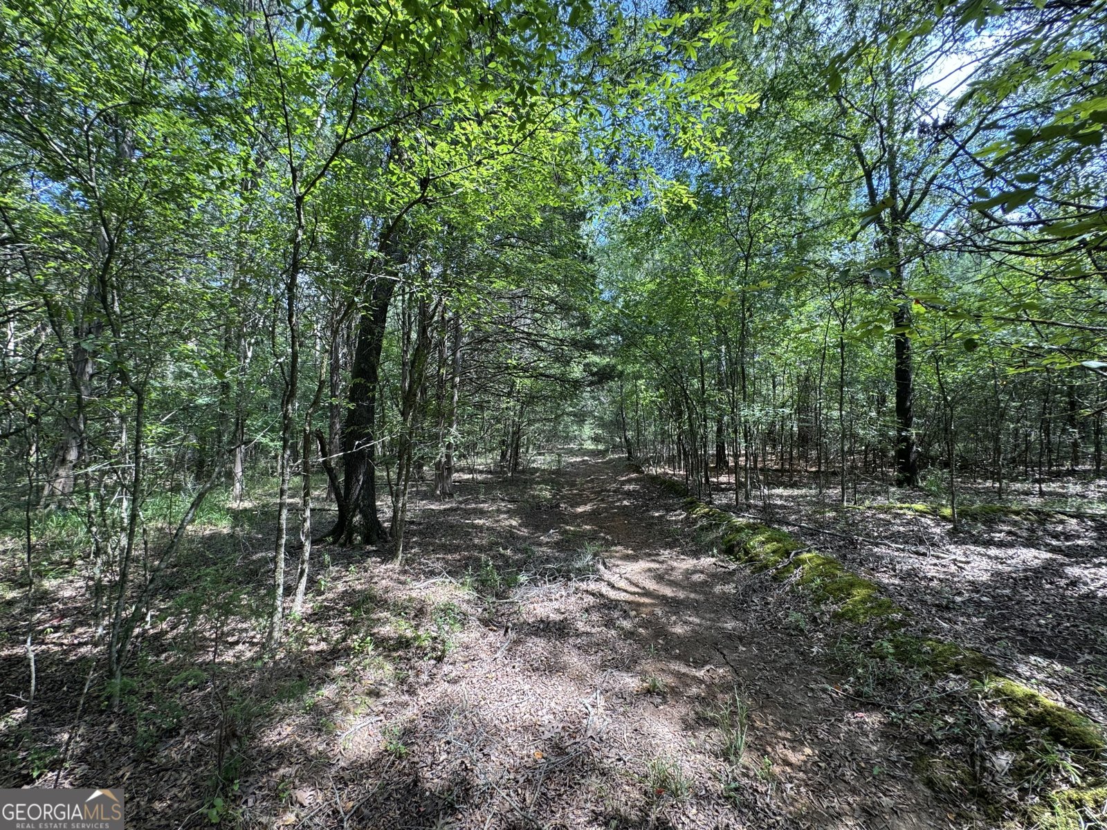 1324 Highway 81 N No Street Suffix Calhoun Falls - 17