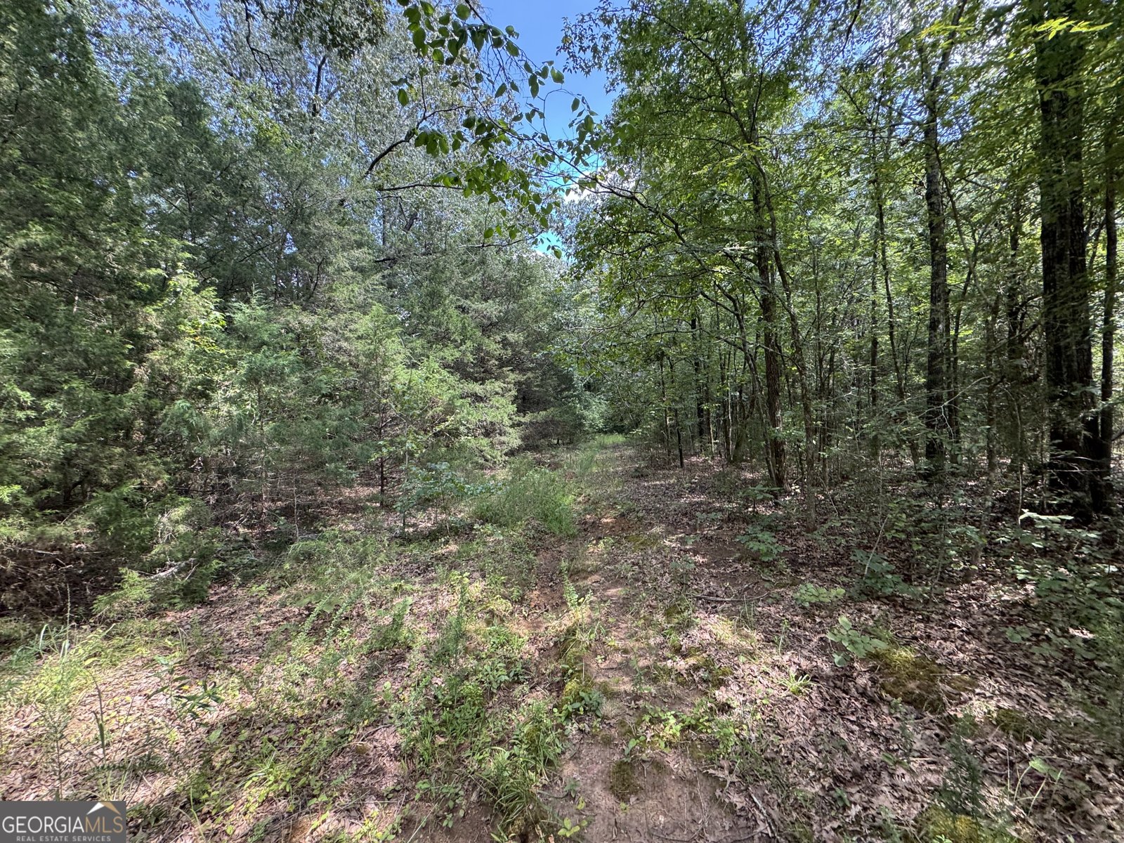 1324 Highway 81 N No Street Suffix Calhoun Falls - 18