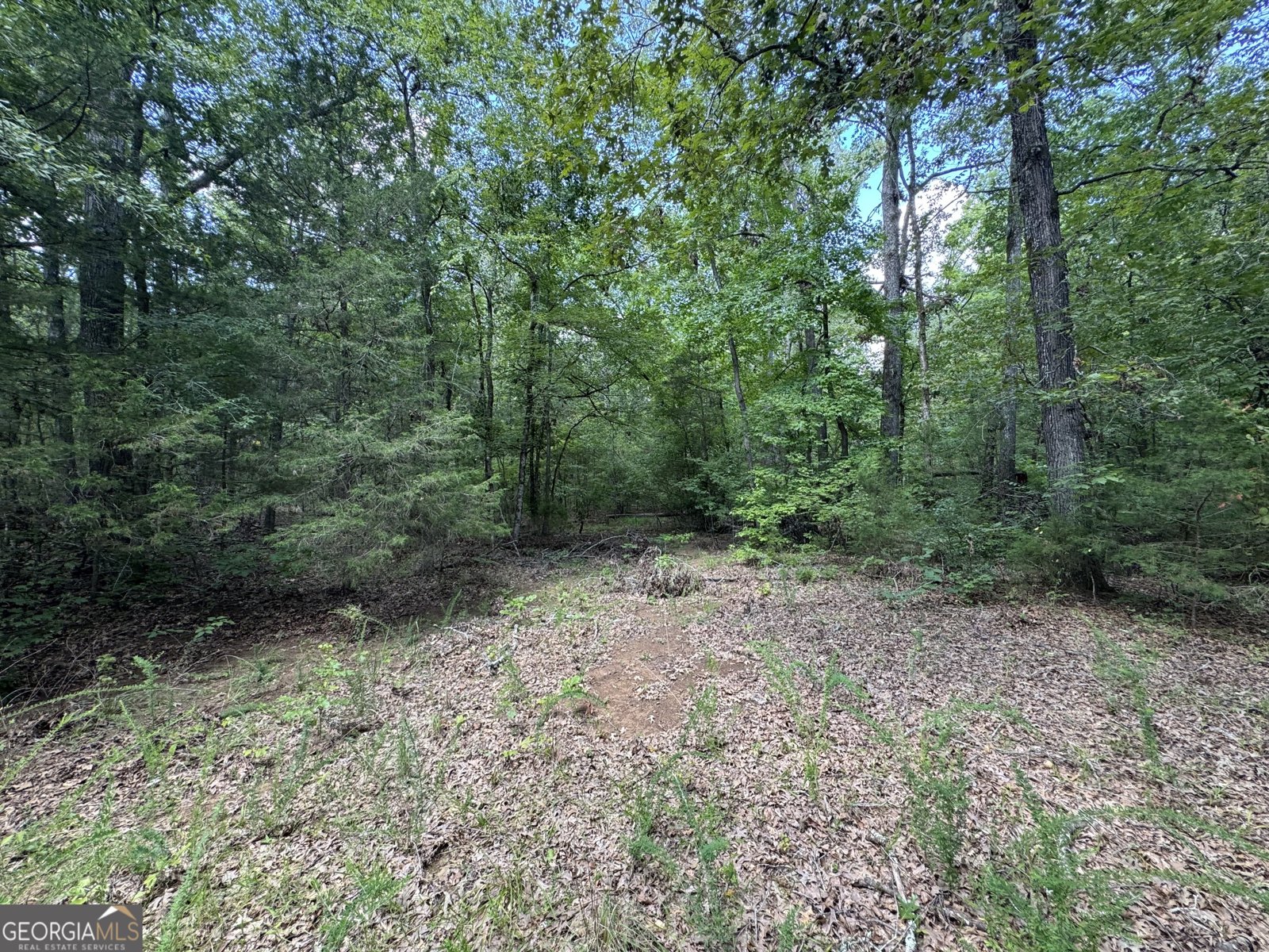 1324 Highway 81 N No Street Suffix Calhoun Falls - 19