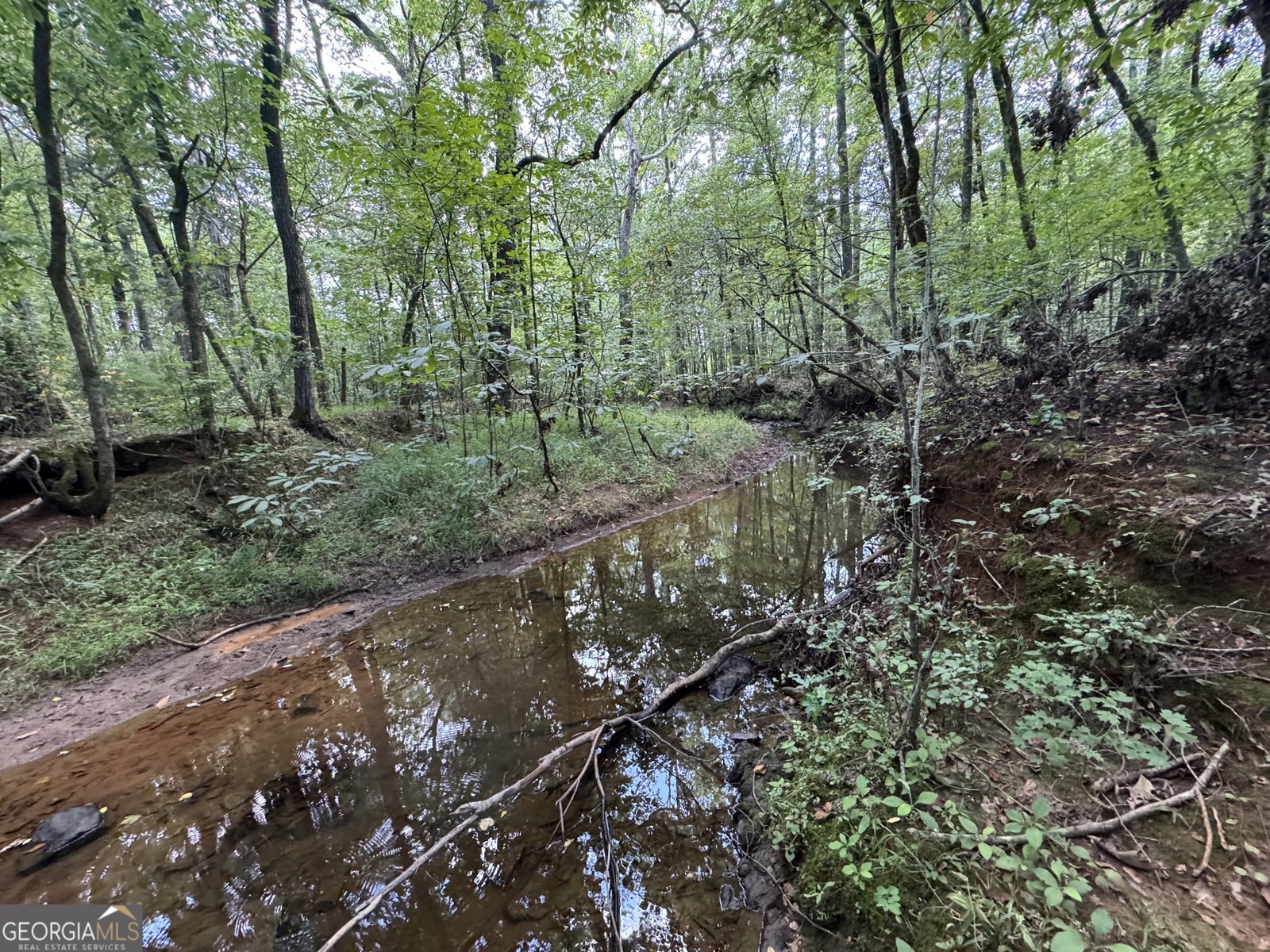 1324 Highway 81 N No Street Suffix Calhoun Falls - 21