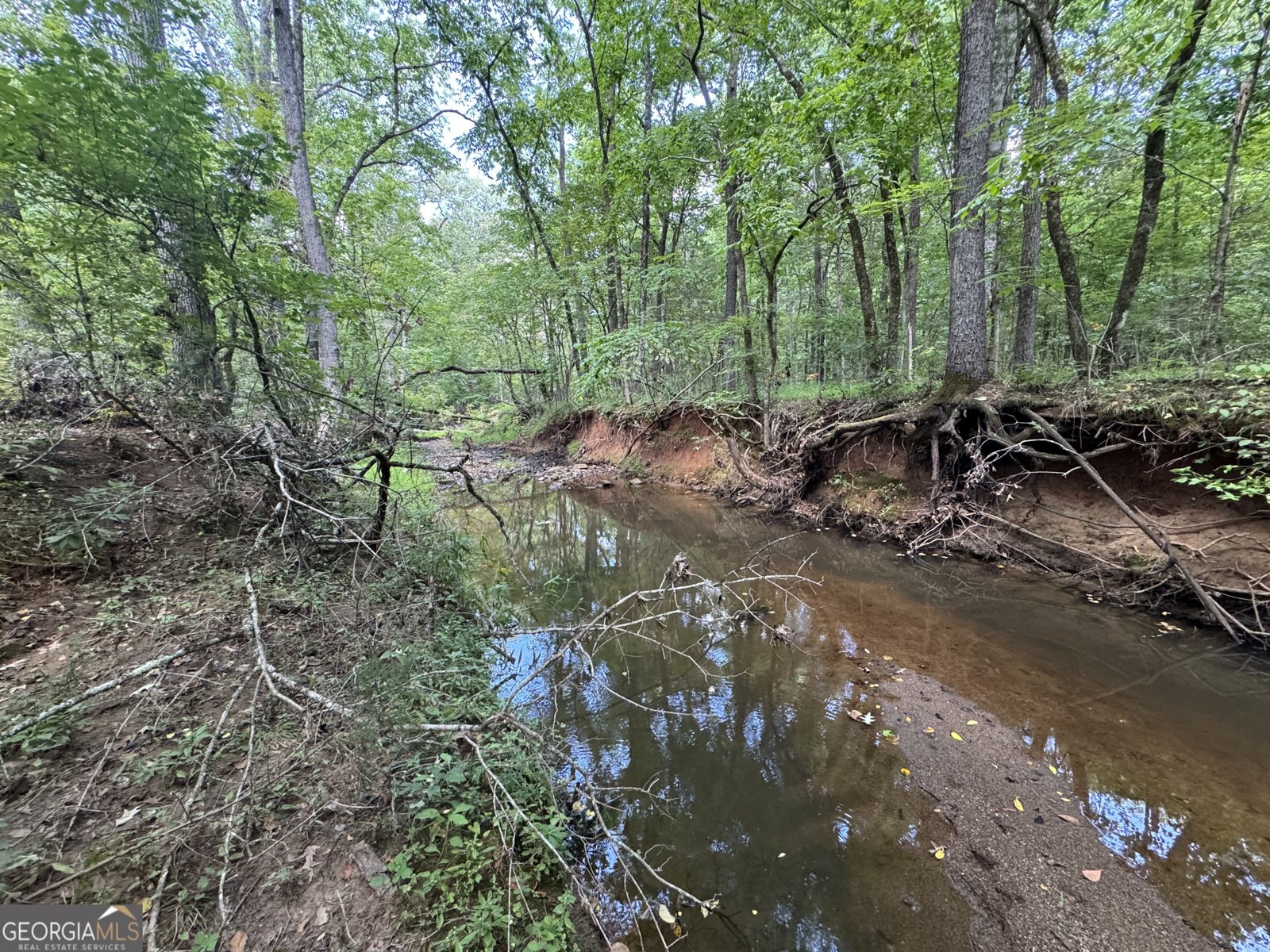 1324 Highway 81 N No Street Suffix Calhoun Falls - 23