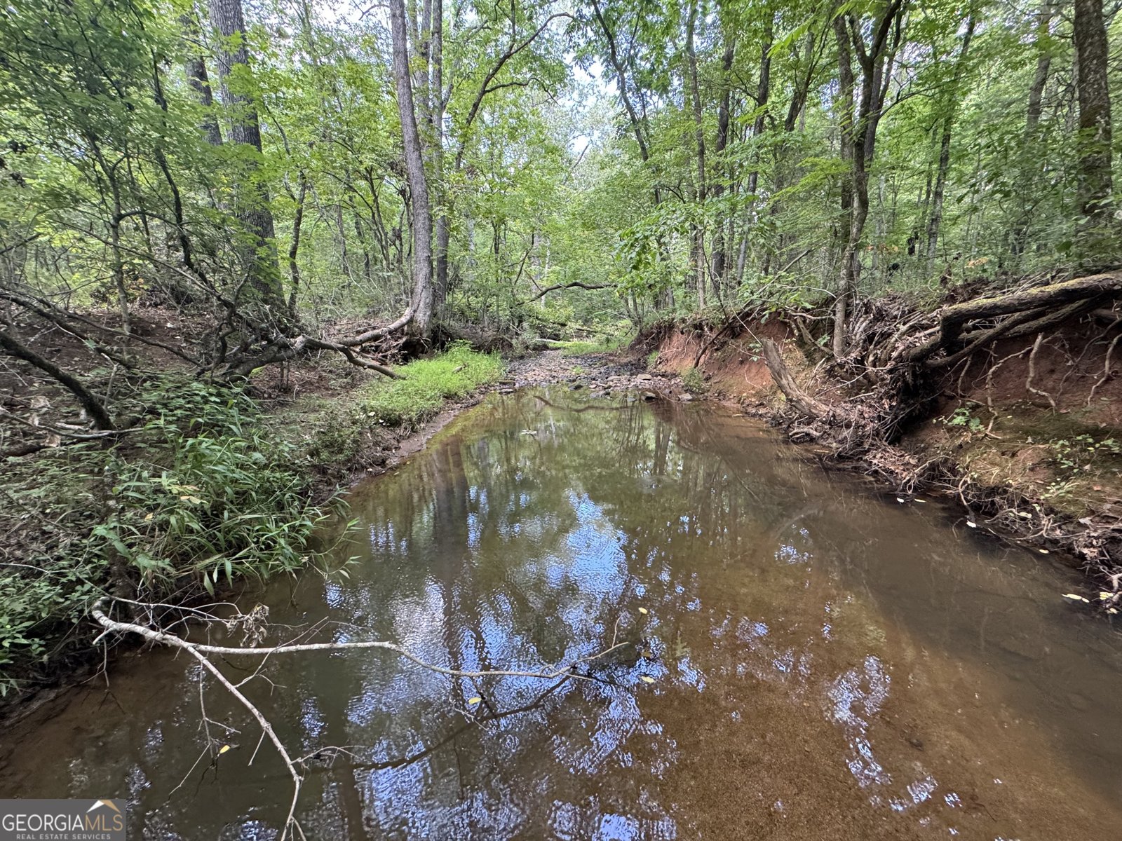 1324 Highway 81 N No Street Suffix Calhoun Falls - 24