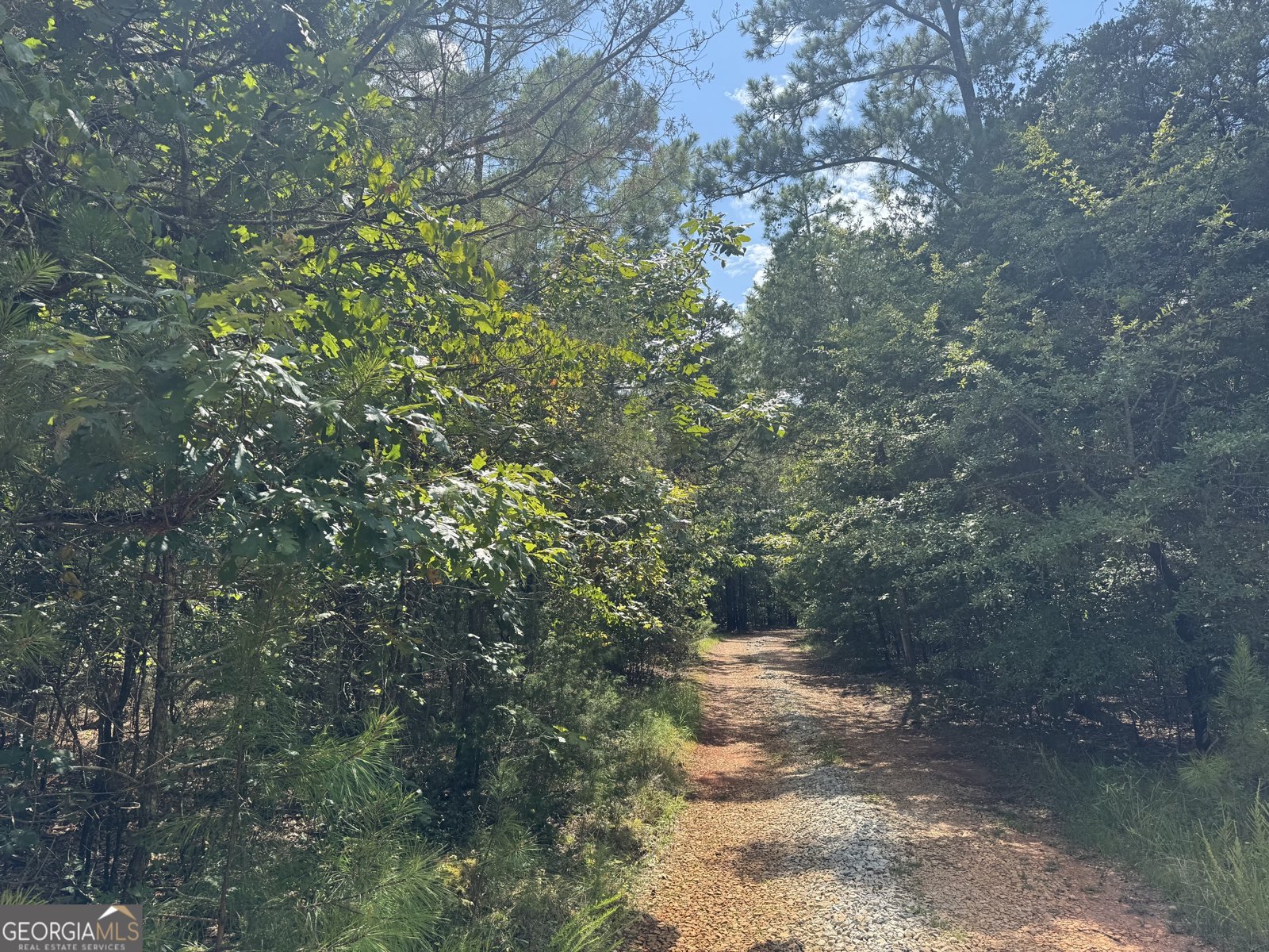 1324 Highway 81 N No Street Suffix Calhoun Falls - 28