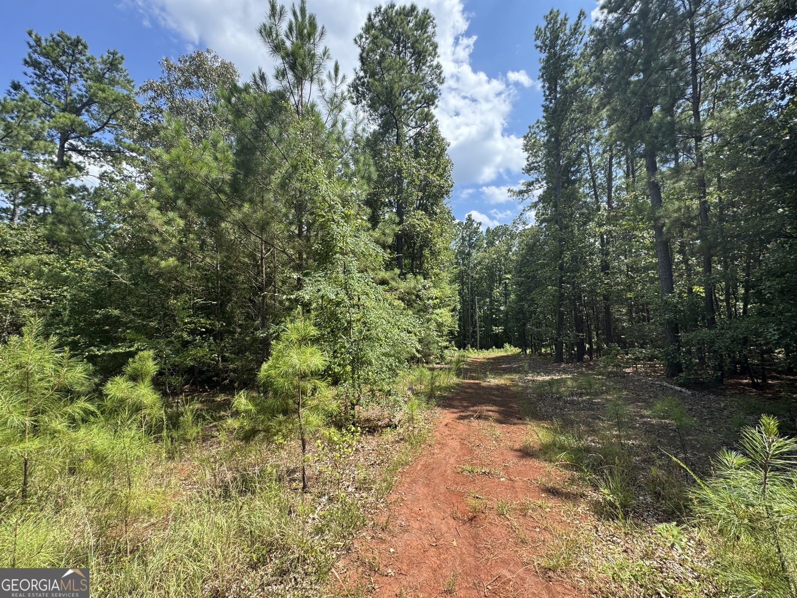 1324 Highway 81 N No Street Suffix Calhoun Falls - 3