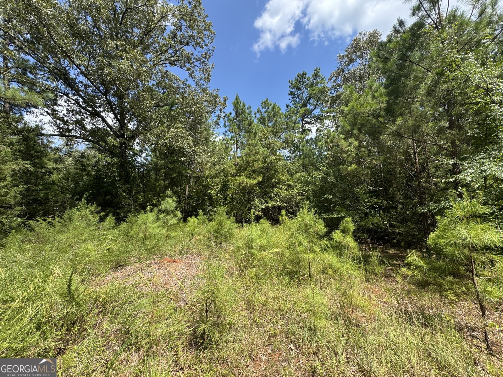 1324 Highway 81 N No Street Suffix Calhoun Falls - 4