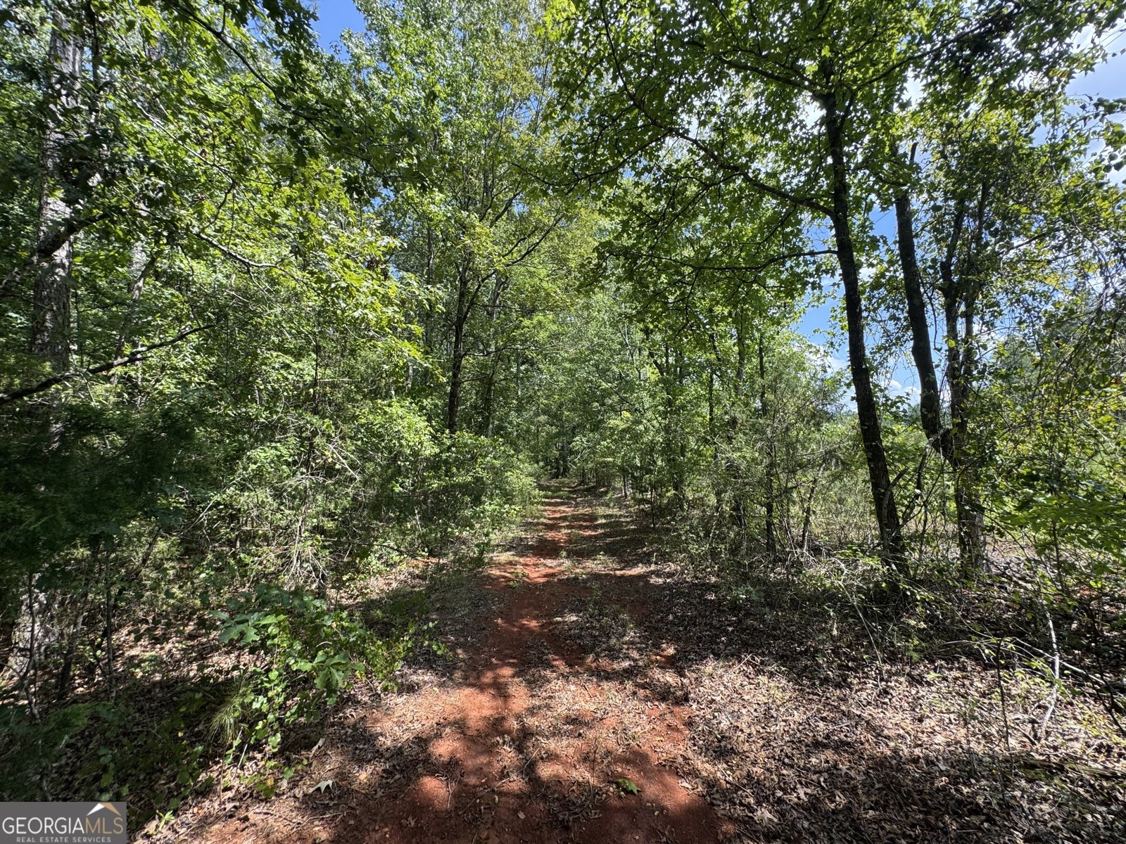 1324 Highway 81 N No Street Suffix Calhoun Falls - 6