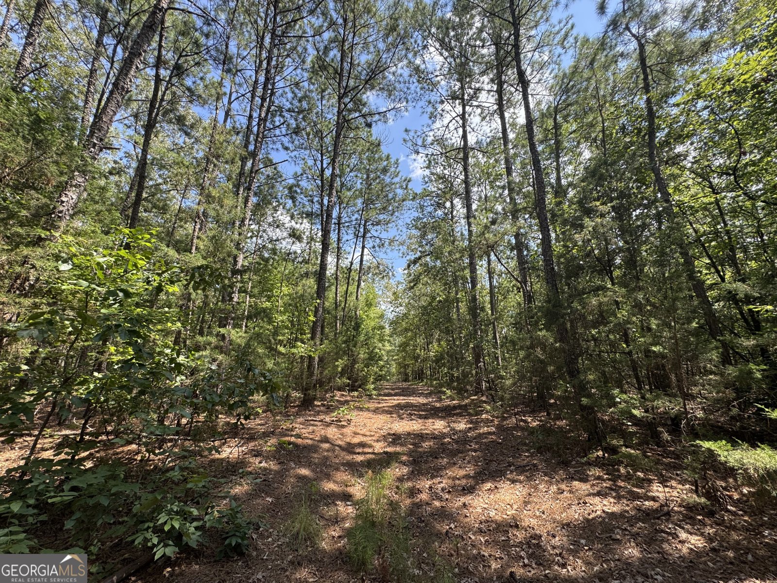 1324 Highway 81 N No Street Suffix Calhoun Falls - 9