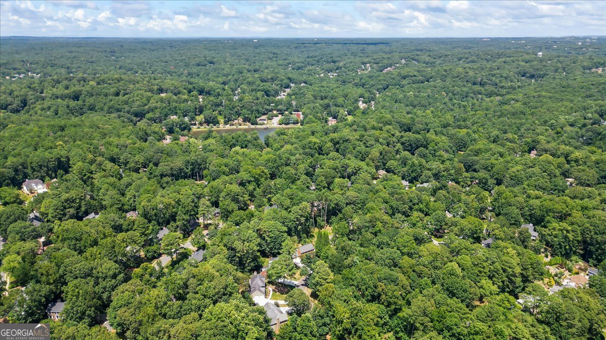 2647 Long Lake Drive Roswell - 52