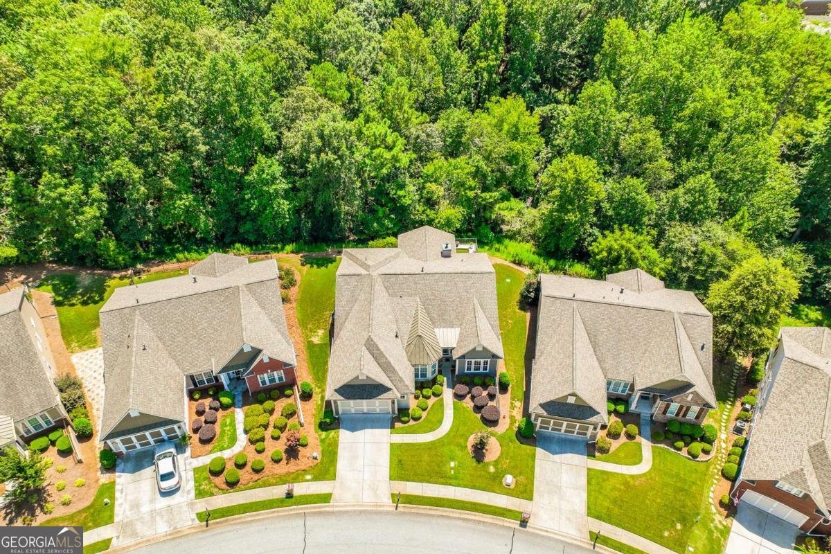 6436 Falling Water Lane Hoschton - 36