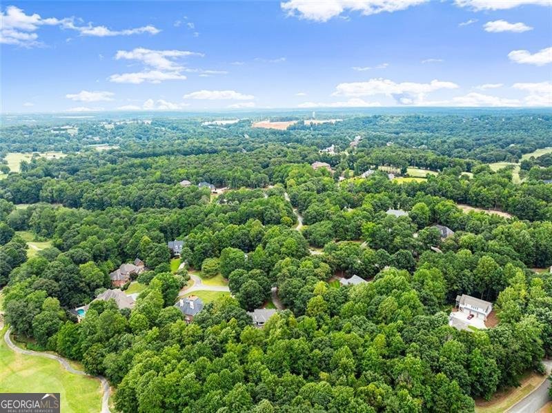 2010 FOREST GLEN Drive Braselton - 31