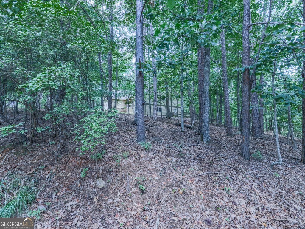 105 Klamath Court Waleska - 56