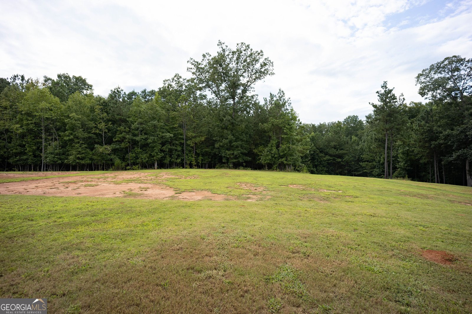 35 Miller Lake Court Covington - 9