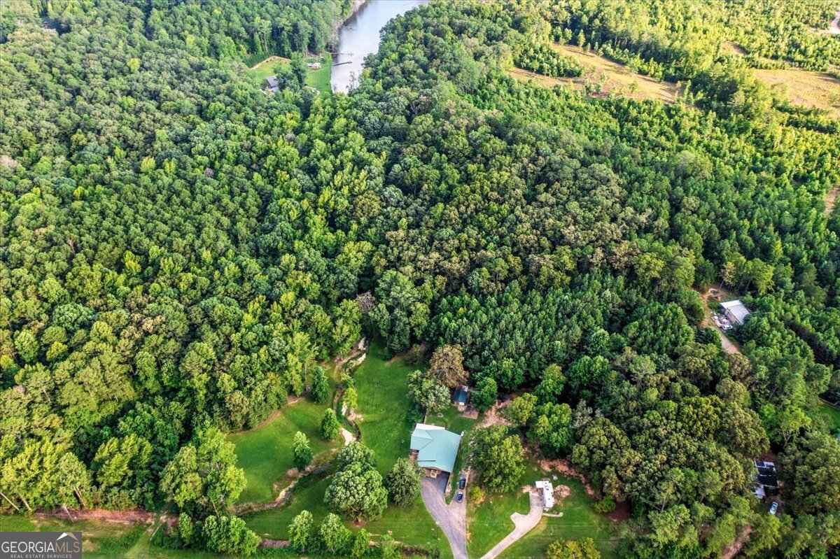 18514 Hwy 78 Muscadine - 2