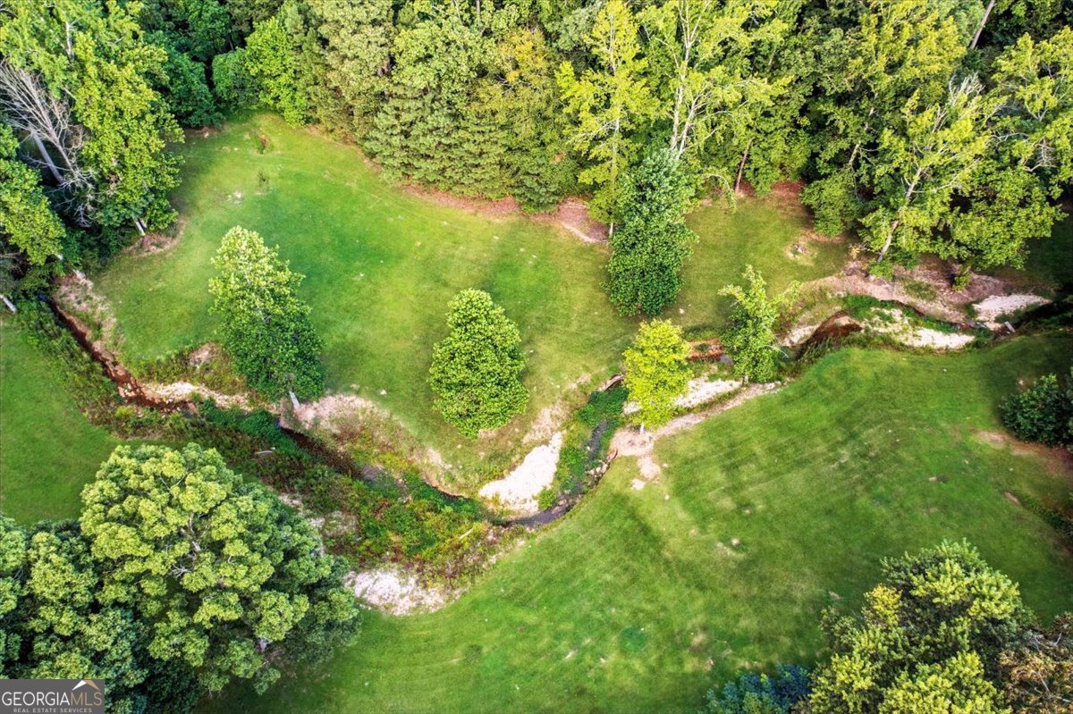 18514 Hwy 78 Muscadine - 5