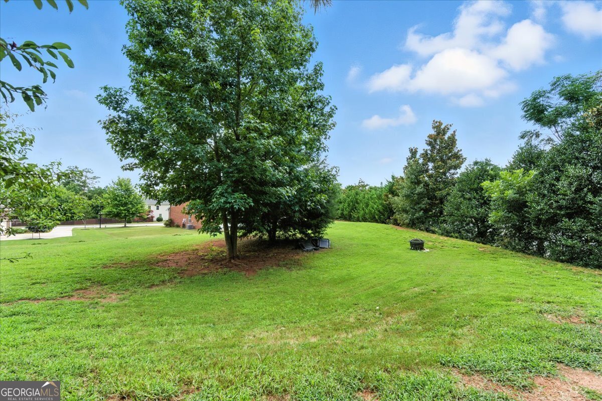 1500 Kathryn's Glen Drive Conyers - 46