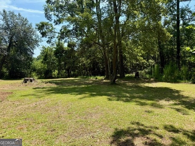 313 Paul Smith Road Brooklet - 27