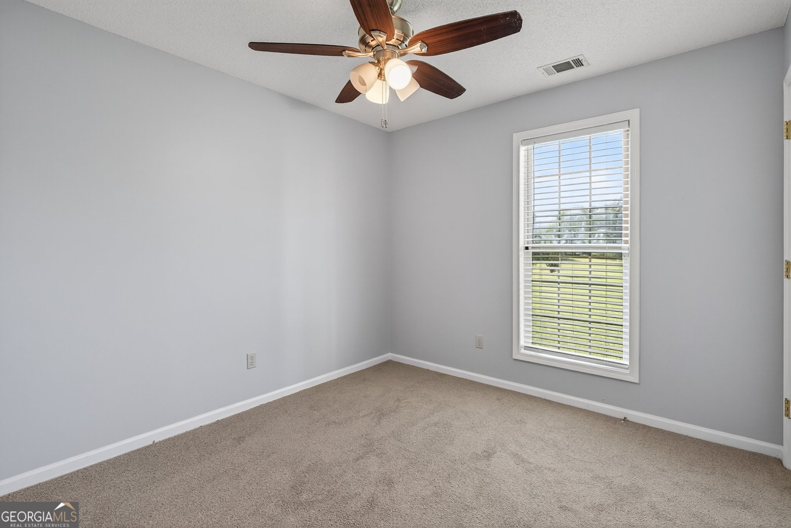 1680 Drew Allen Road Williamson - 10