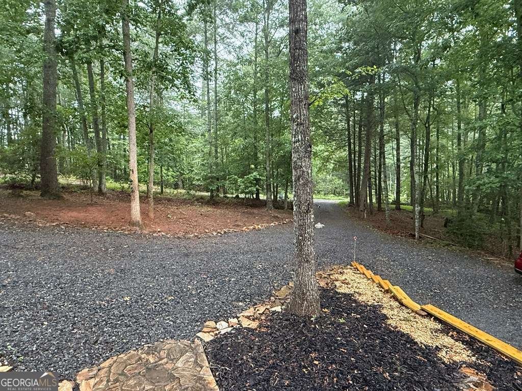 31 Highland Hammock Drive Blue Ridge - 24