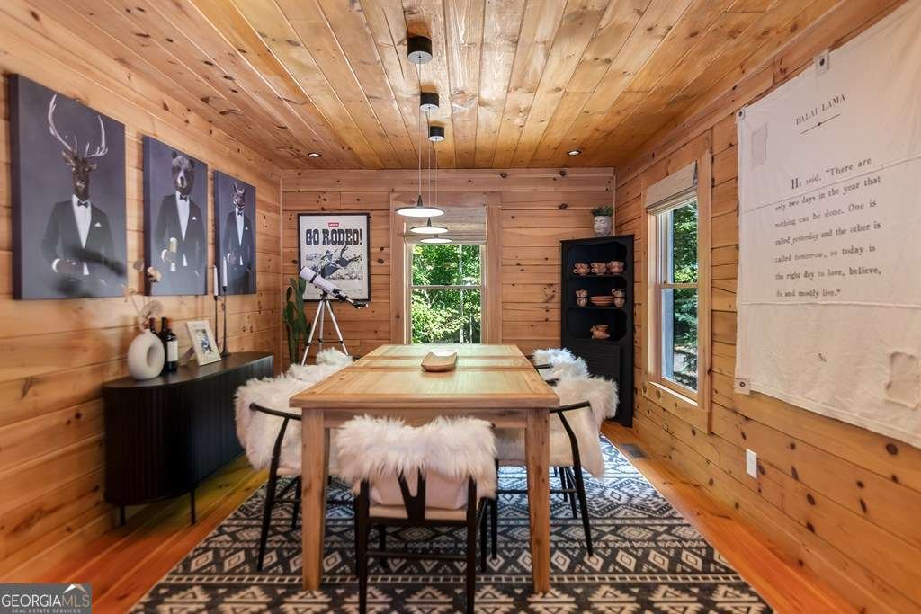 16 Toccoa Ridge Road Road Mineral Bluff - 11
