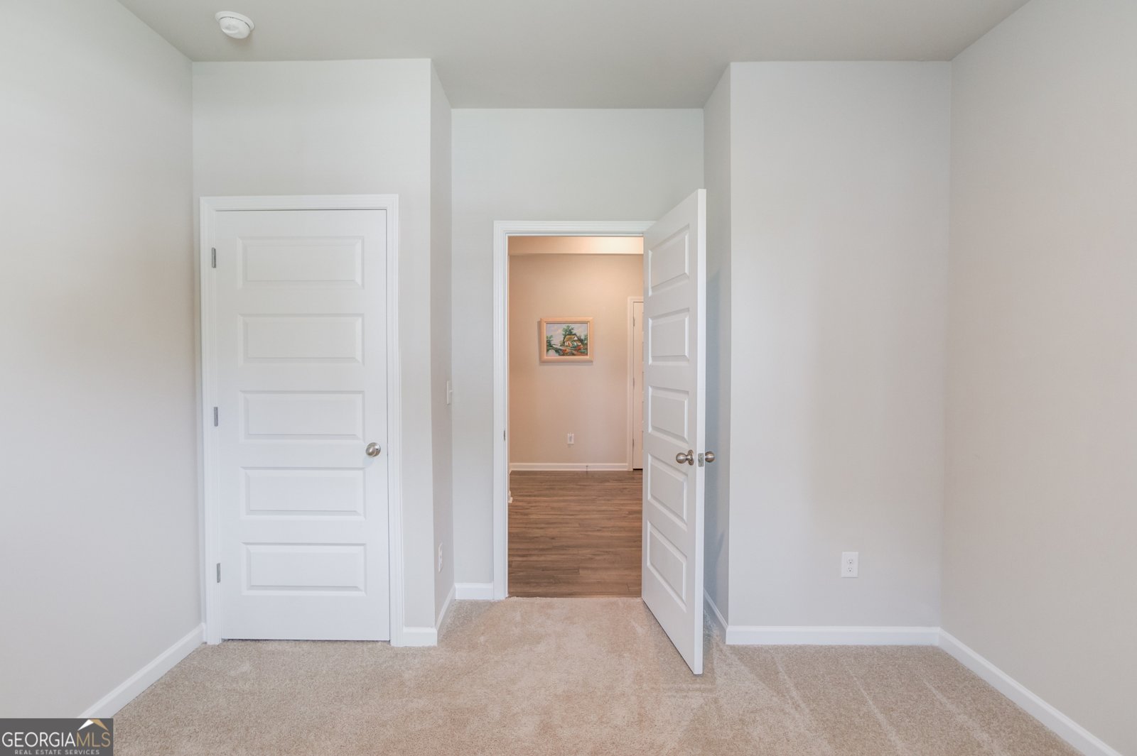 334 Pepin Court Hoschton - 22
