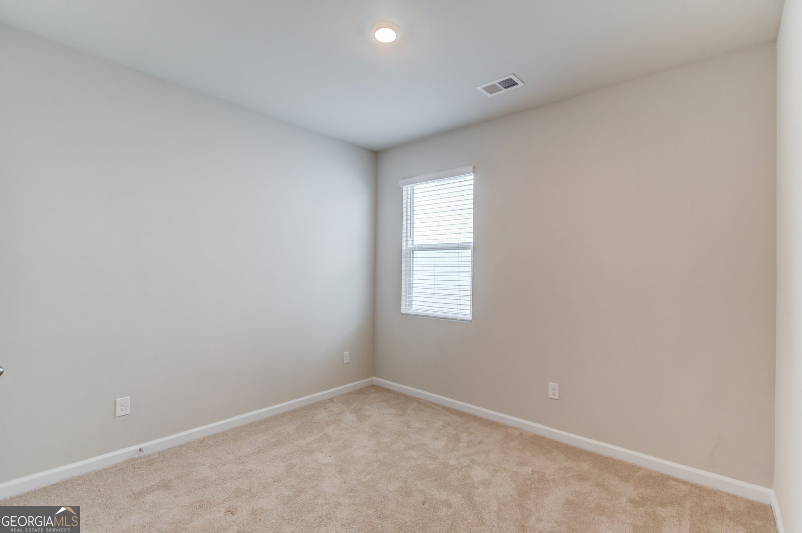 334 Pepin Court Hoschton - 24