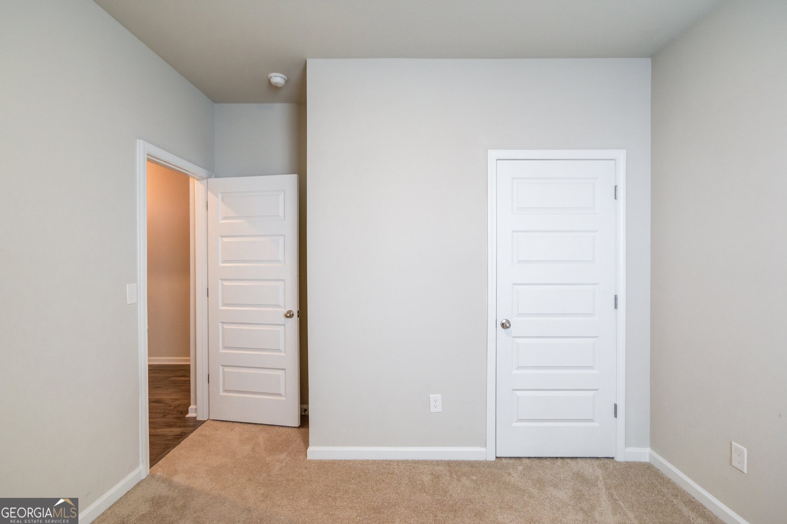 334 Pepin Court Hoschton - 25