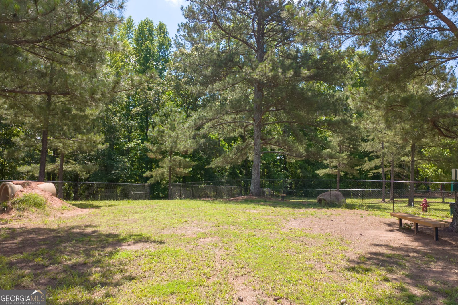 334 Pepin Court Hoschton - 40