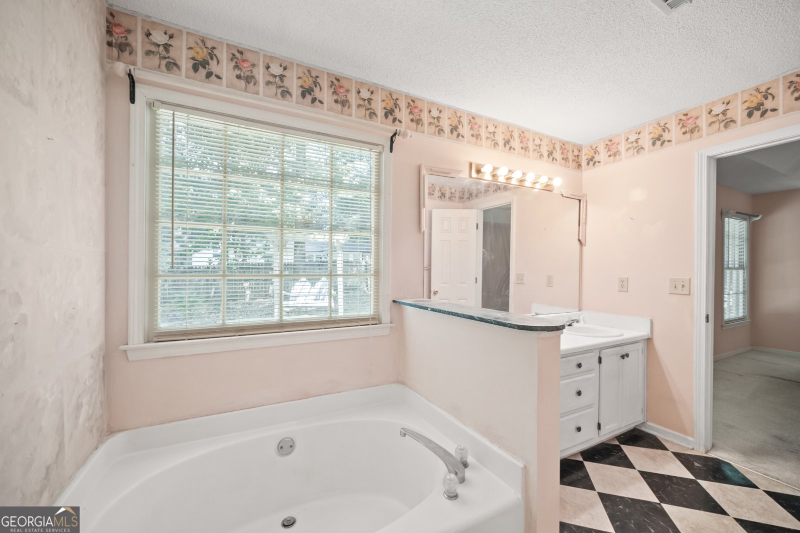 1097 Kearney Lane Powder Springs - 17