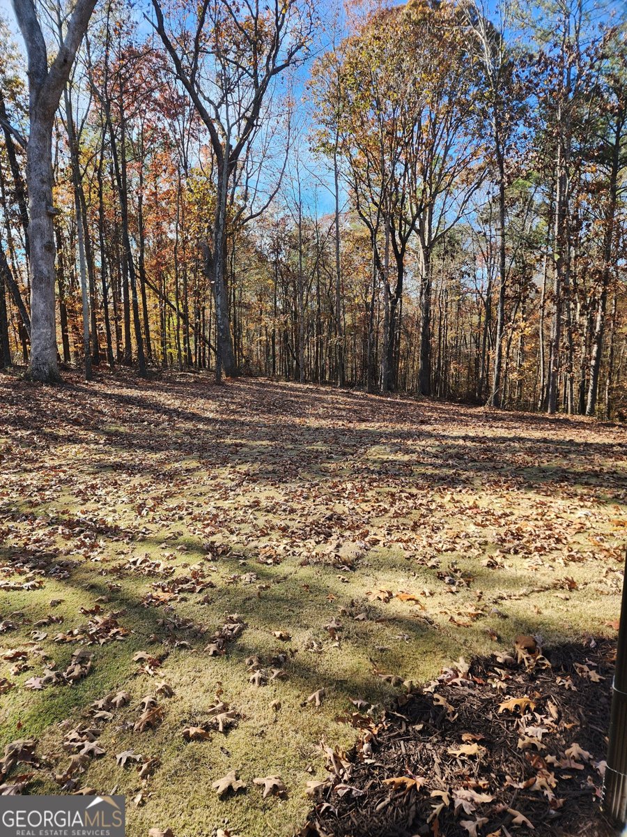 128 Ivey Trace Court Pendergrass - 19