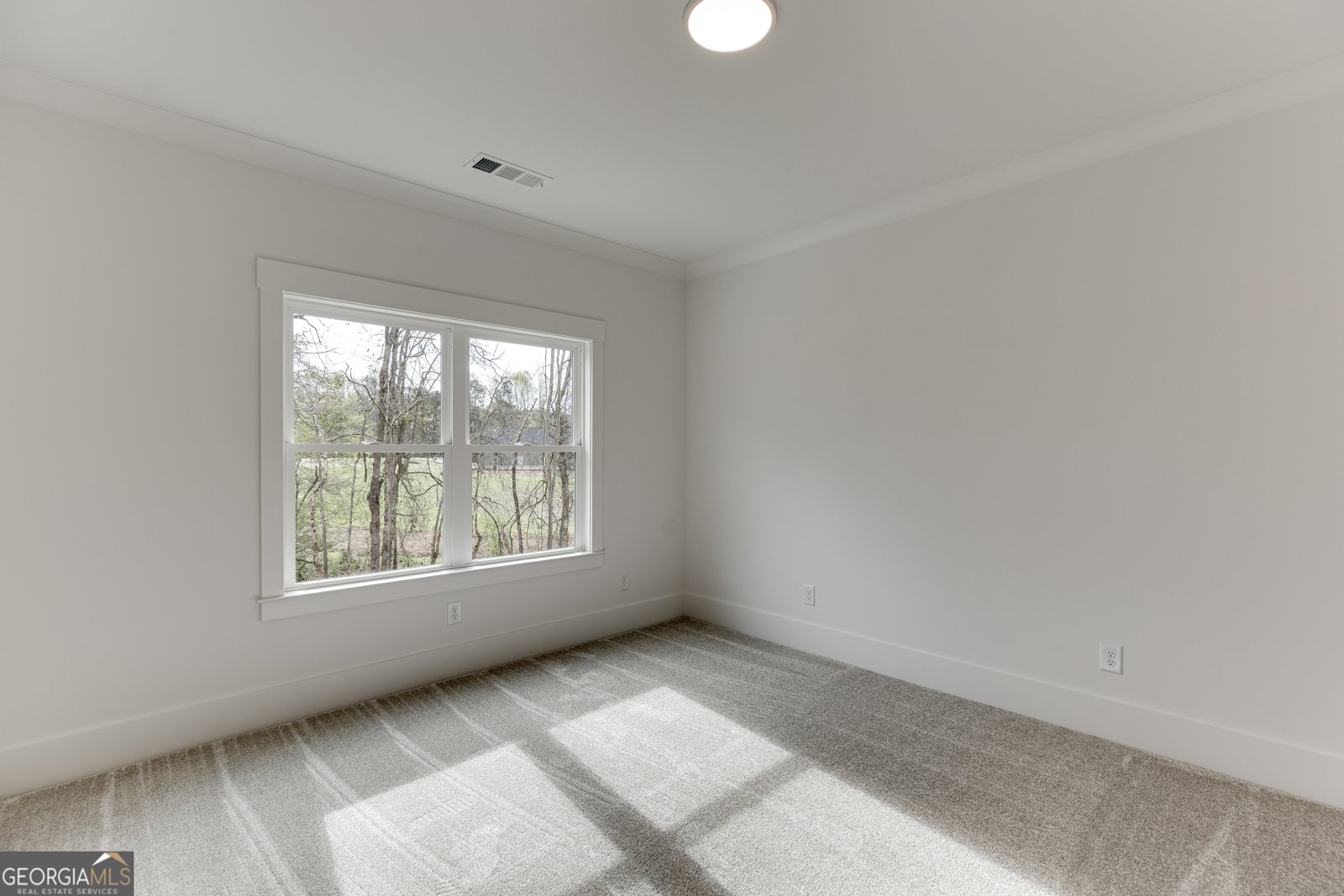 128 Ivey Trace Court Pendergrass - Photo 45