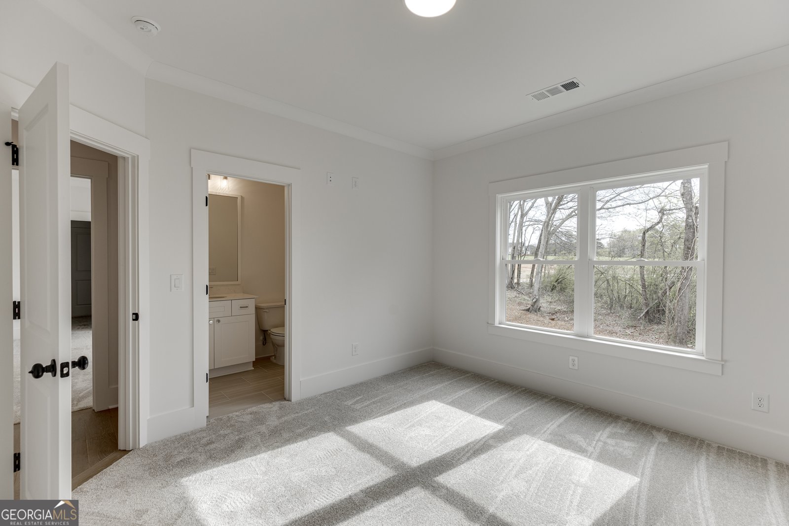 128 Ivey Trace Court Pendergrass - Photo 46