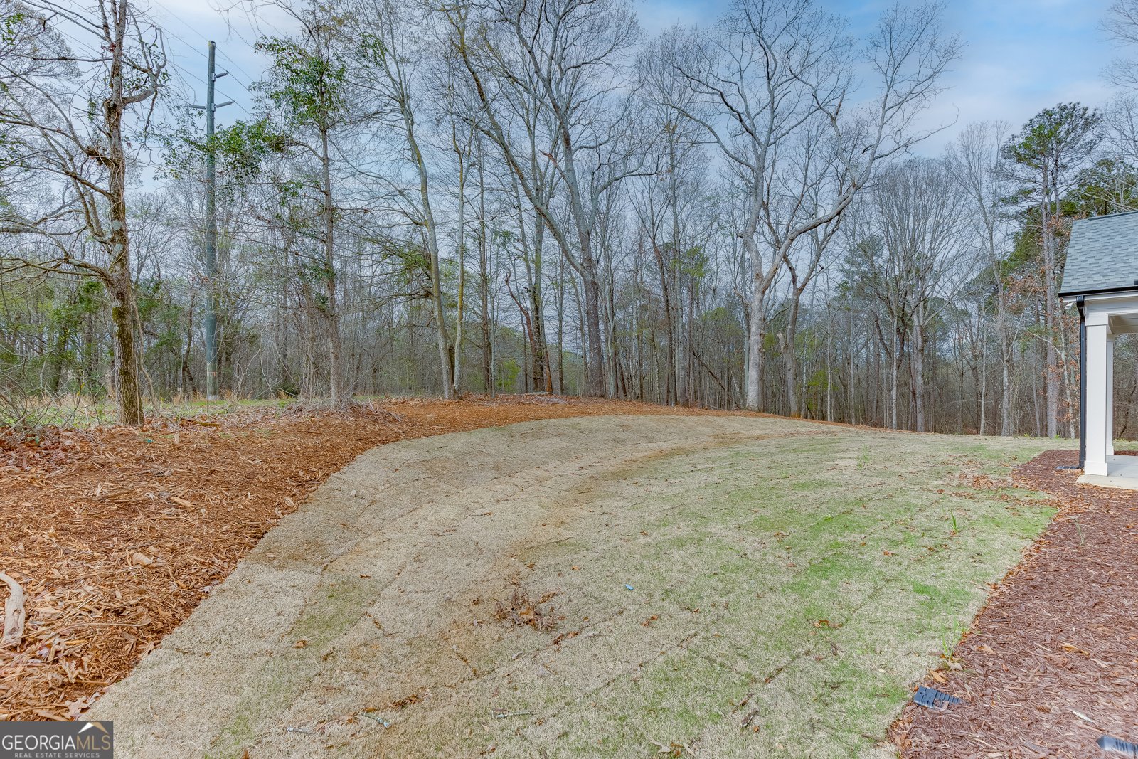 128 Ivey Trace Court Pendergrass - Photo 54