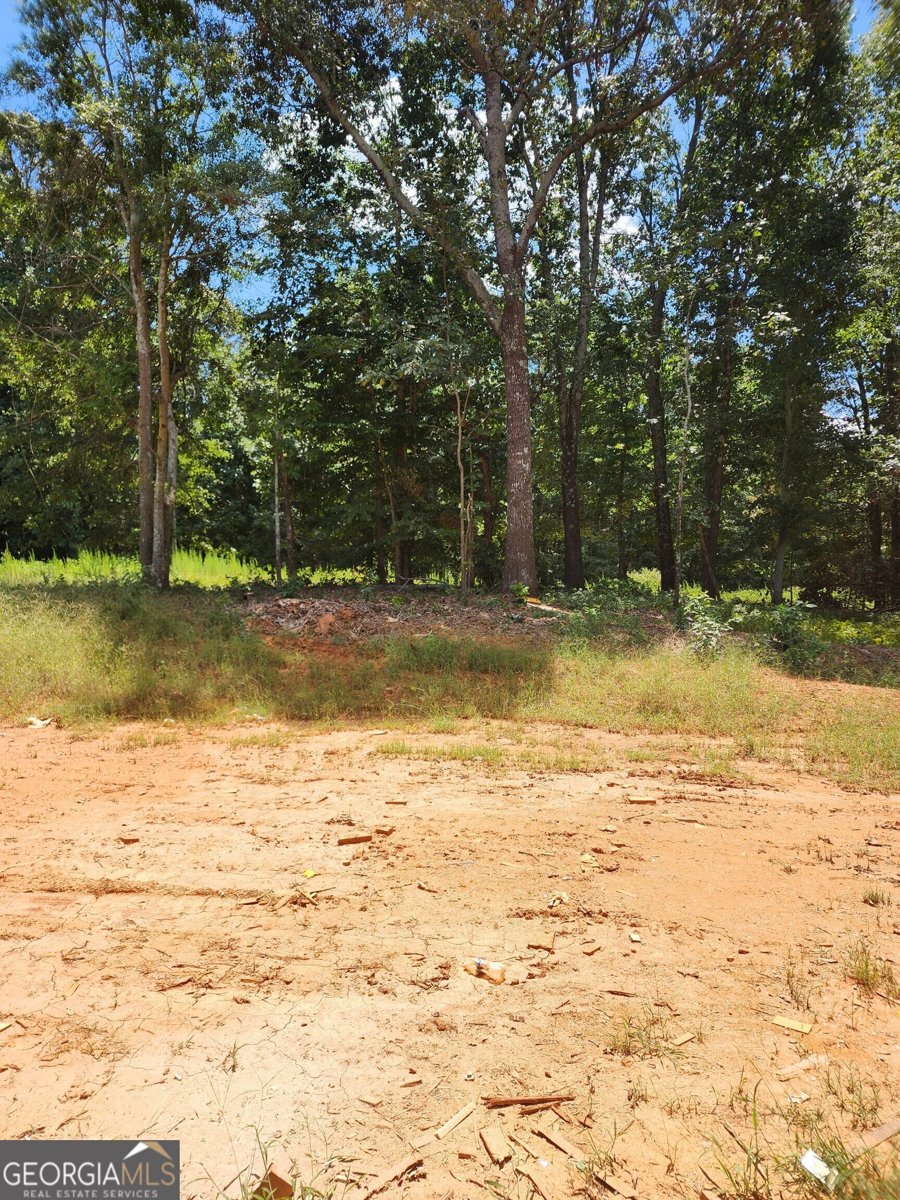 128 Ivey Trace Court Pendergrass - 7