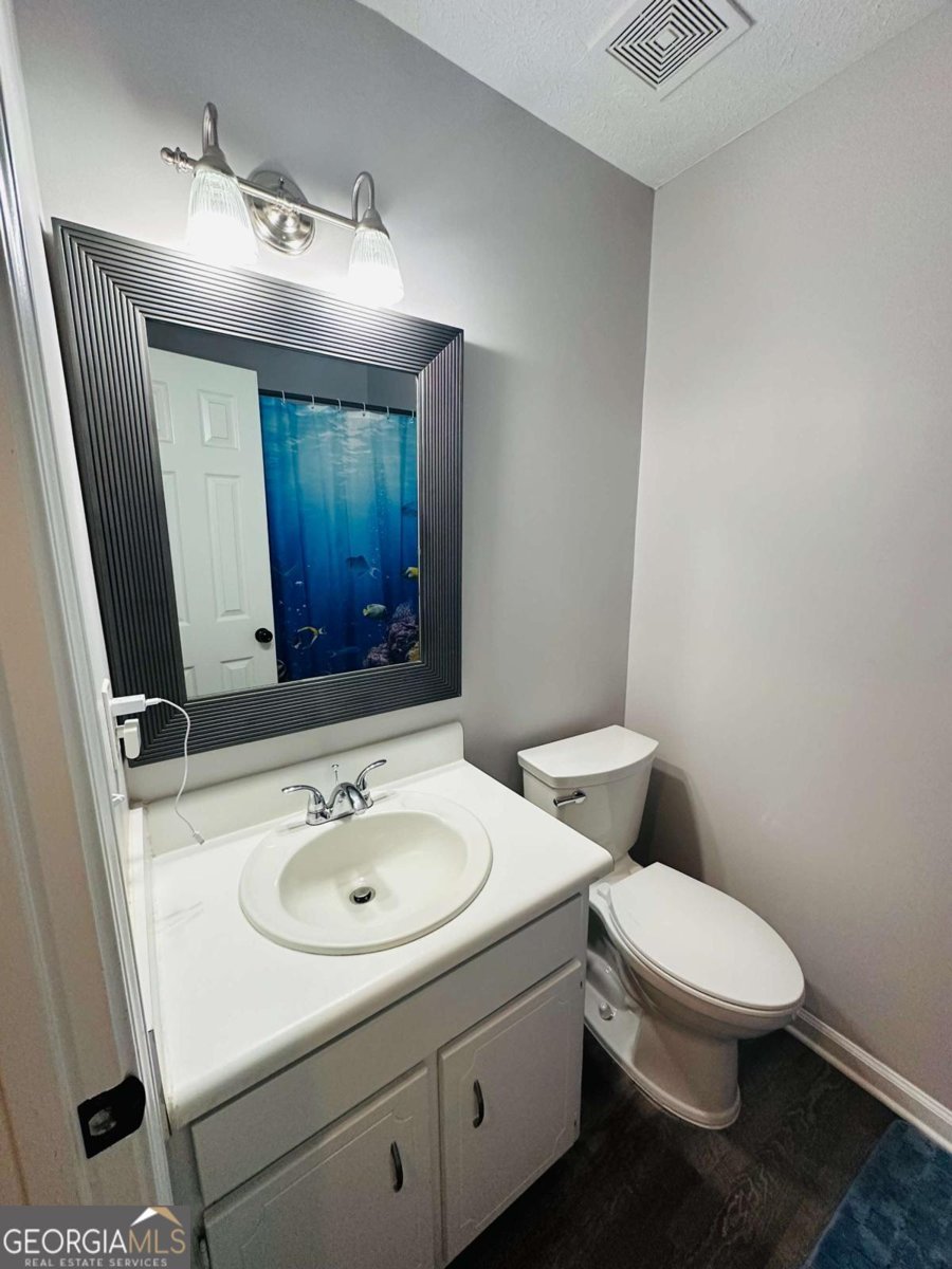 6533 River Hill Drive Flowery Branch - 19