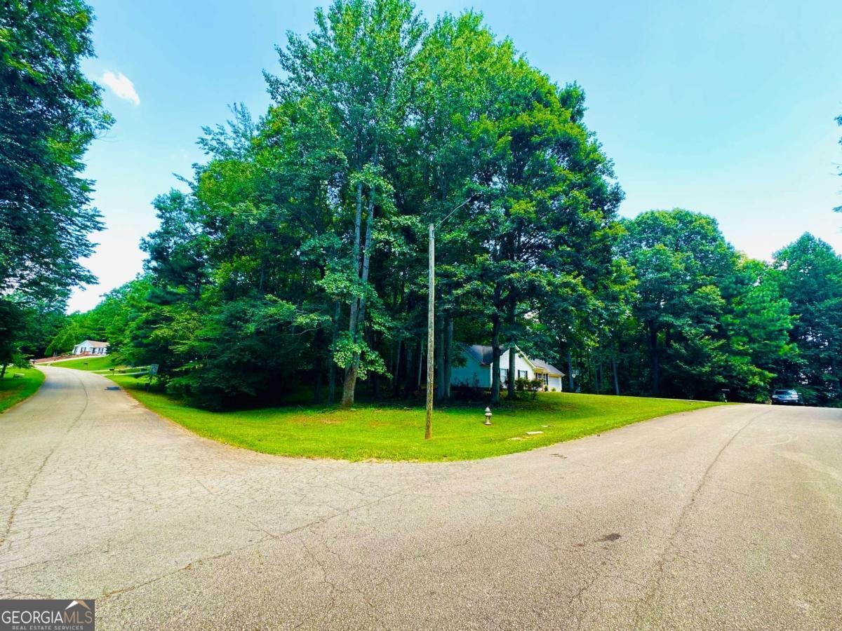 6533 River Hill Drive Flowery Branch - 4