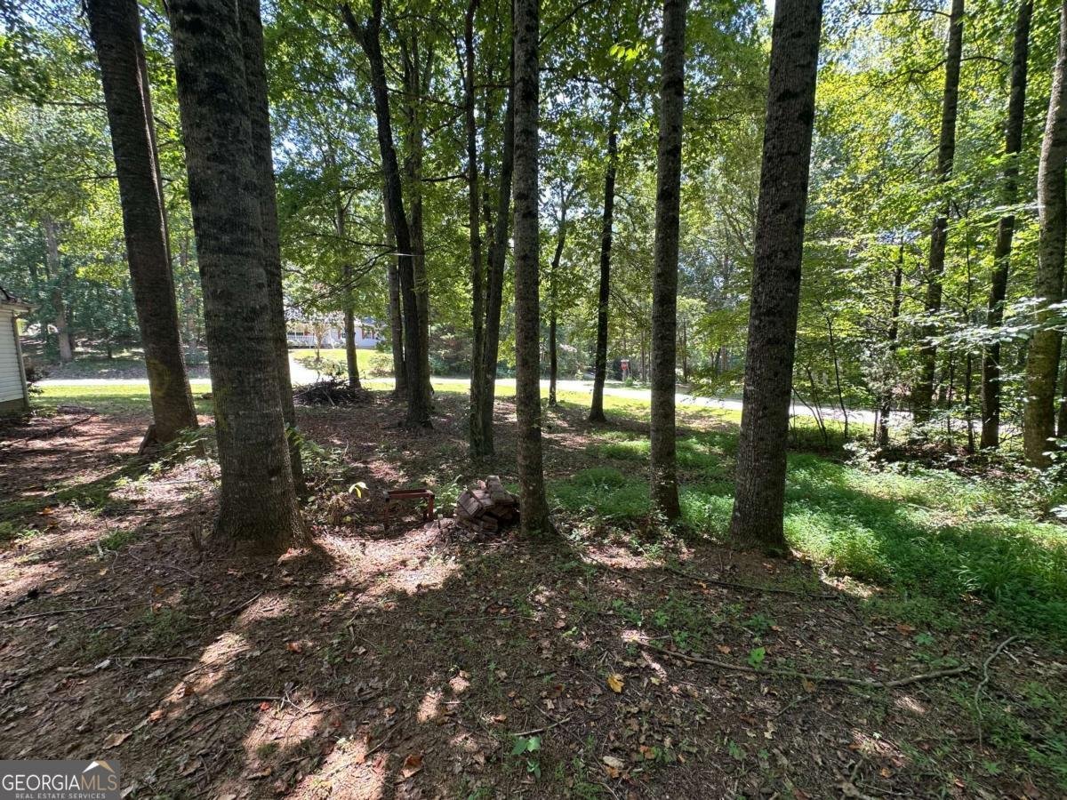 6533 River Hill Drive Flowery Branch - 7