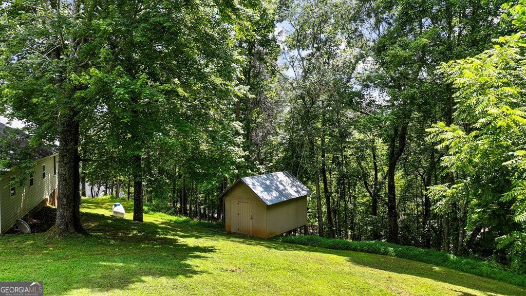 161 Sky High Drive Blue Ridge - 33