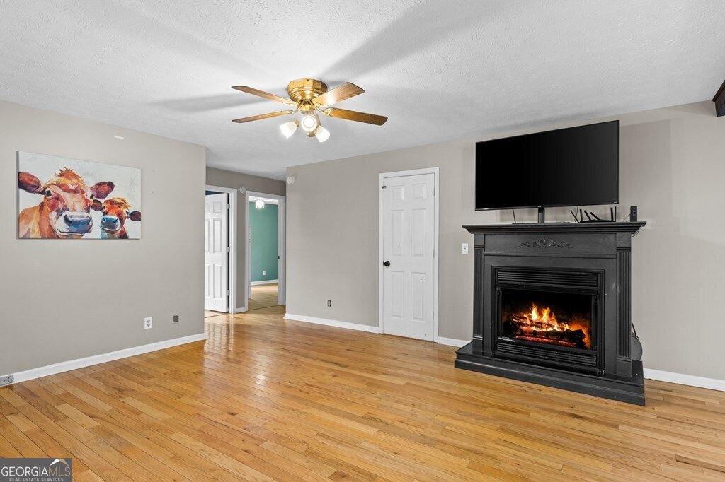 161 Sky High Drive Blue Ridge - 5